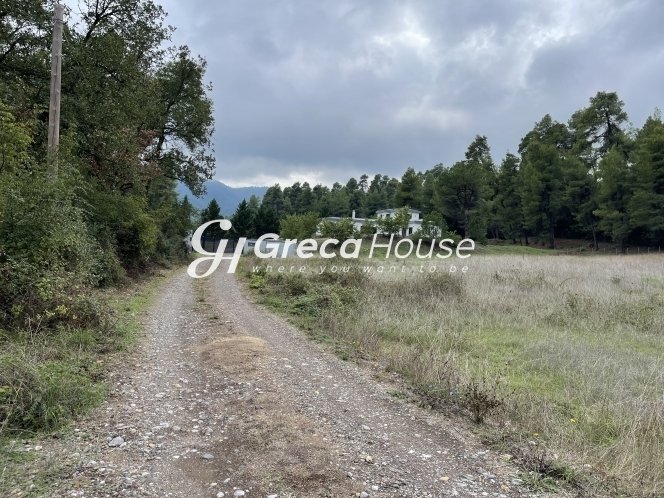 Villa in Mantoudi - Limni - Aghia Anna, Thessaly and Central Greece, Greece 5 - 13103731