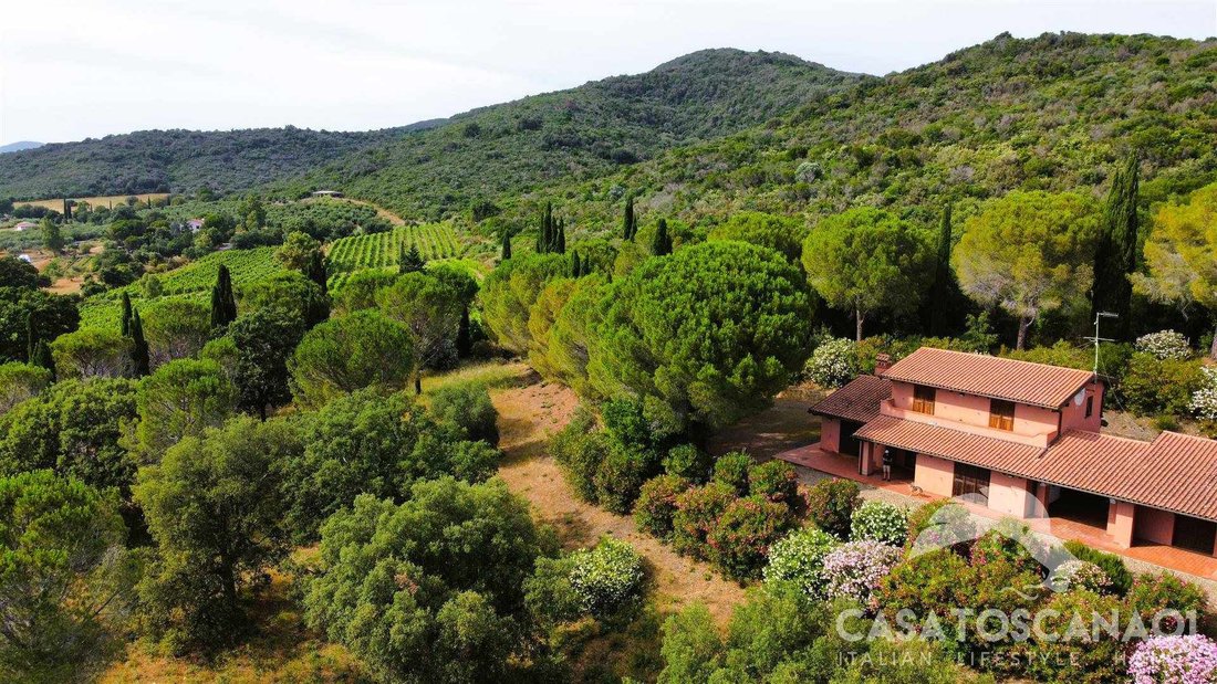 Farm Ranch in Castle of Castiglione, Castiglione della Pescaia, Tuscany 1 - 13104300