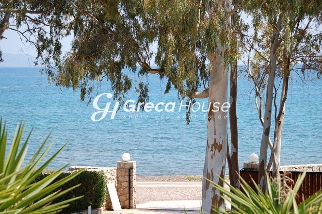 Villa in Ermioni, Peloponnese, Western Greece and the Ionian, Greece 3 - 13103726
