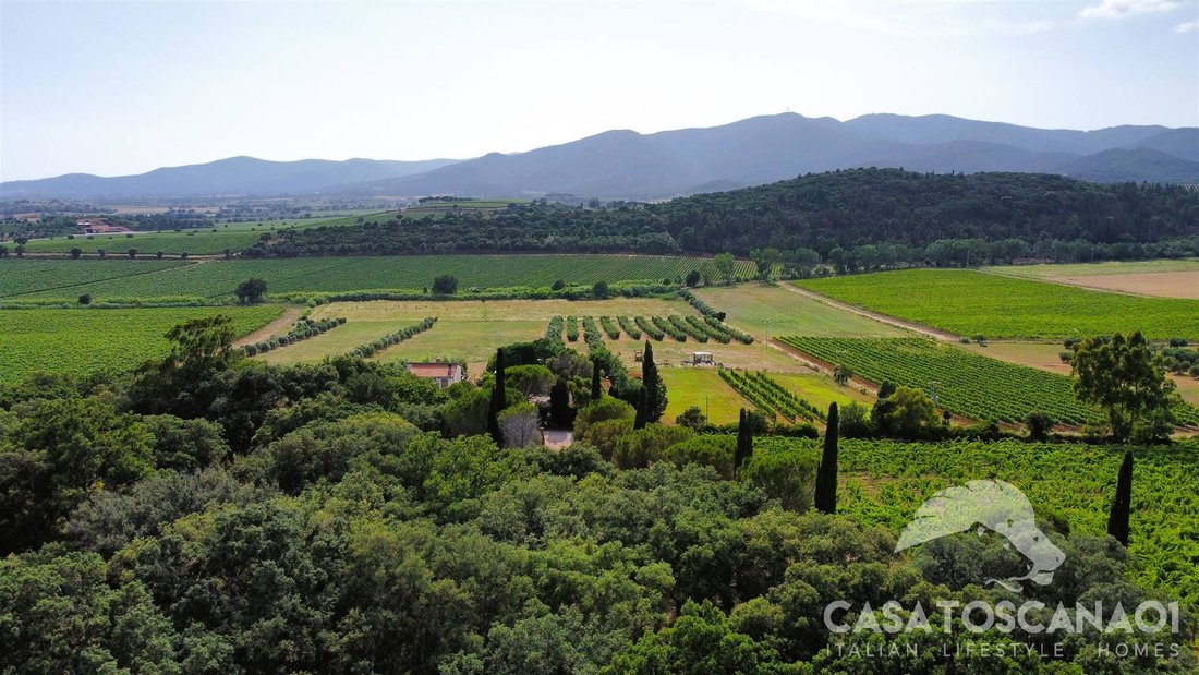 Farm Ranch in Castle of Castiglione, Castiglione della Pescaia, Tuscany 4 - 13104300