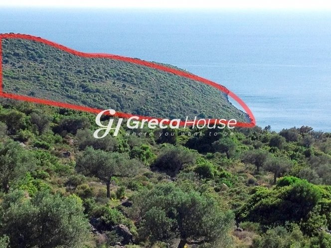 Land in Kalamata, Peloponnese, Western Greece and the Ionian, Greece 5 - 13105830
