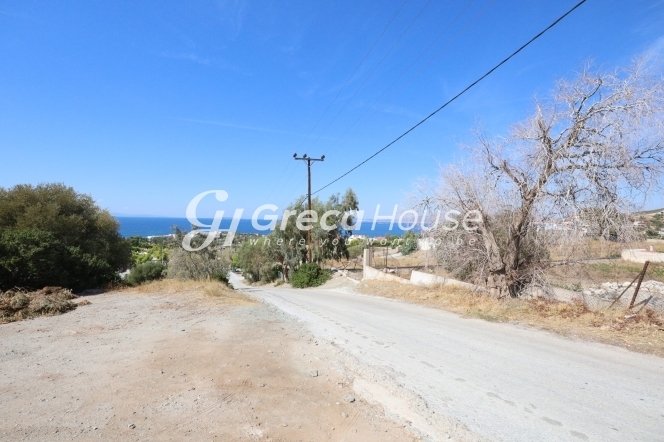 Land in Anavissos, Attica, Greece 4 - 13105847