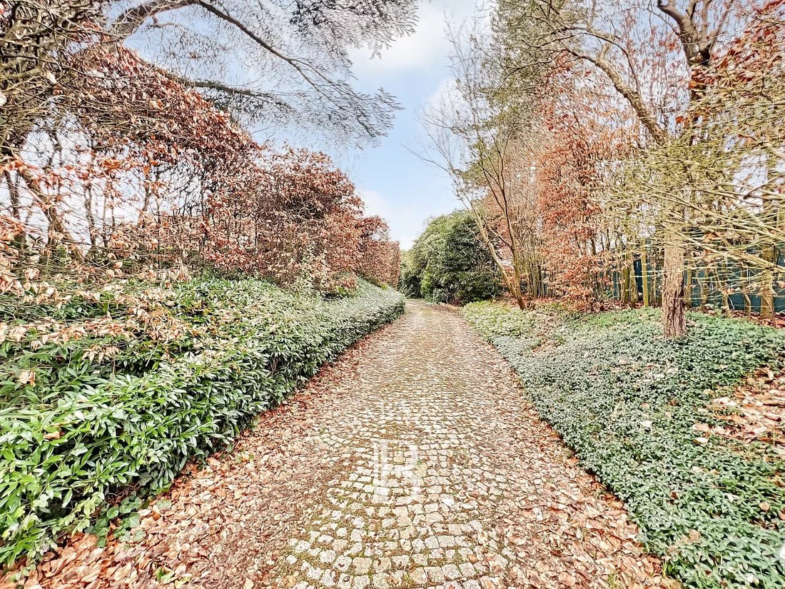 Uccle Beautiful Villa On A Large Plot, Indoor In Uccle, Brussels