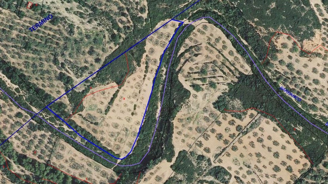 Farm Ranch in Sant Jordi / San Jorge, Valencian Community, Spain 4 - 13108102