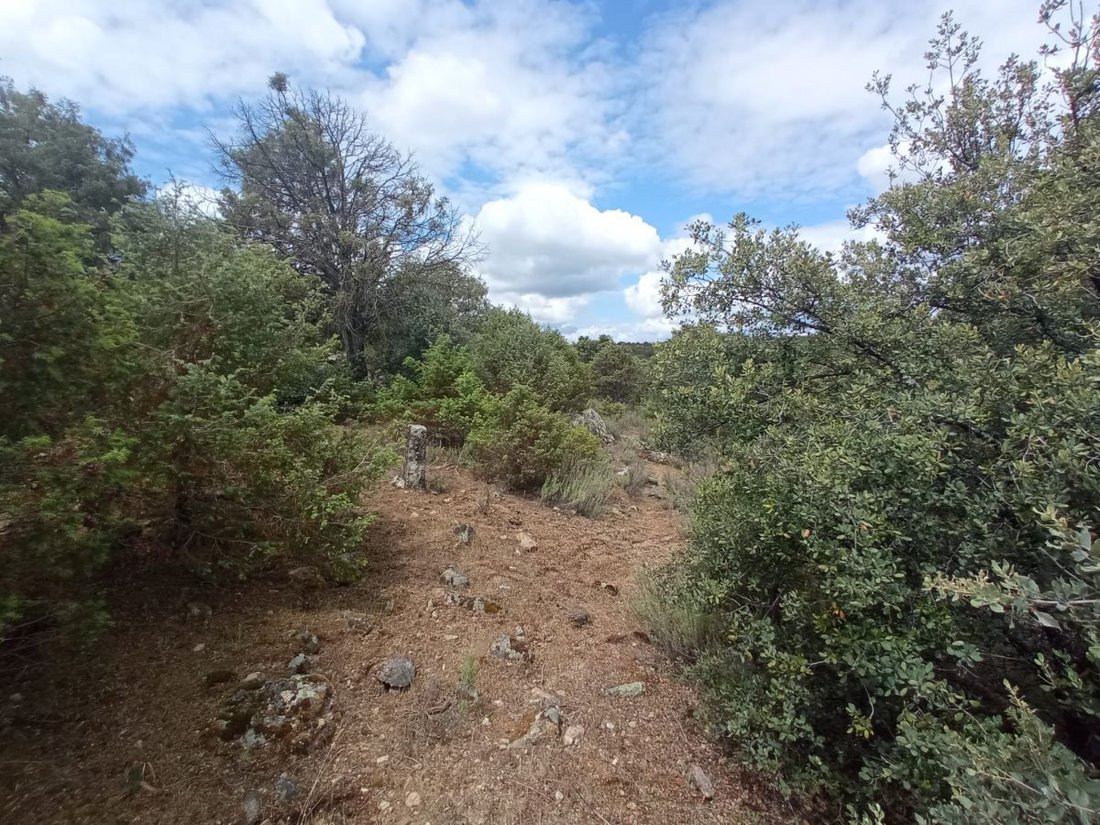 Farm Ranch in Hoyo de Manzanares, Comunidad de Madrid, Spain 5 - 13108117