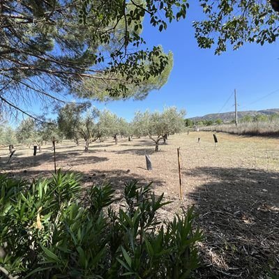 Farm Ranch in Ronda, Andalusia, Spain 3 - 13108438