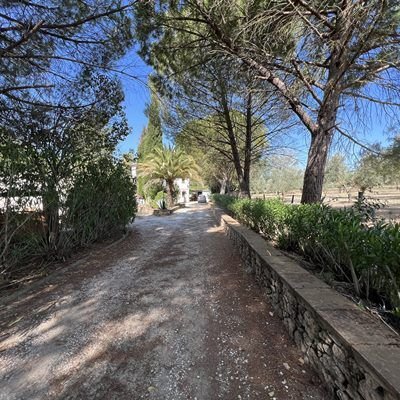 Farm Ranch in Ronda, Andalusia, Spain 2 - 13108438