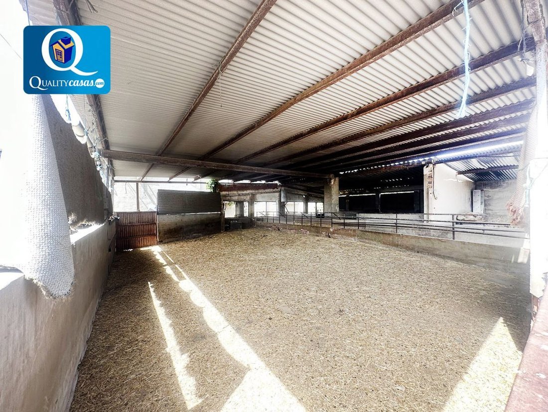 Chalet in Crevillent, Valencian Community, Spain 5 - 13109225