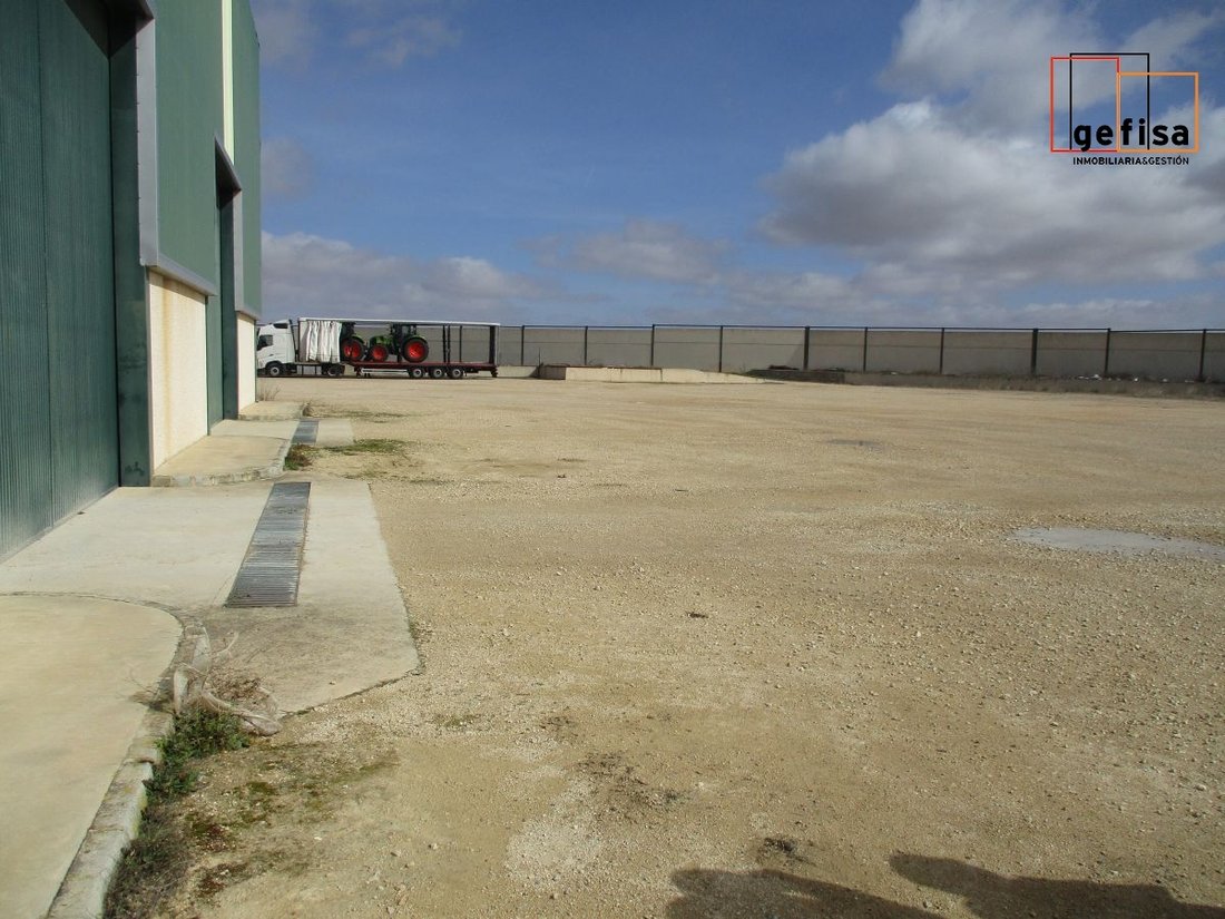 Valdepenas, Castile-La Mancha, Spain 4 - 13108299