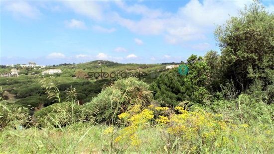 Land in Sotogrande, San Roque, Andalusia 2 - 13108774