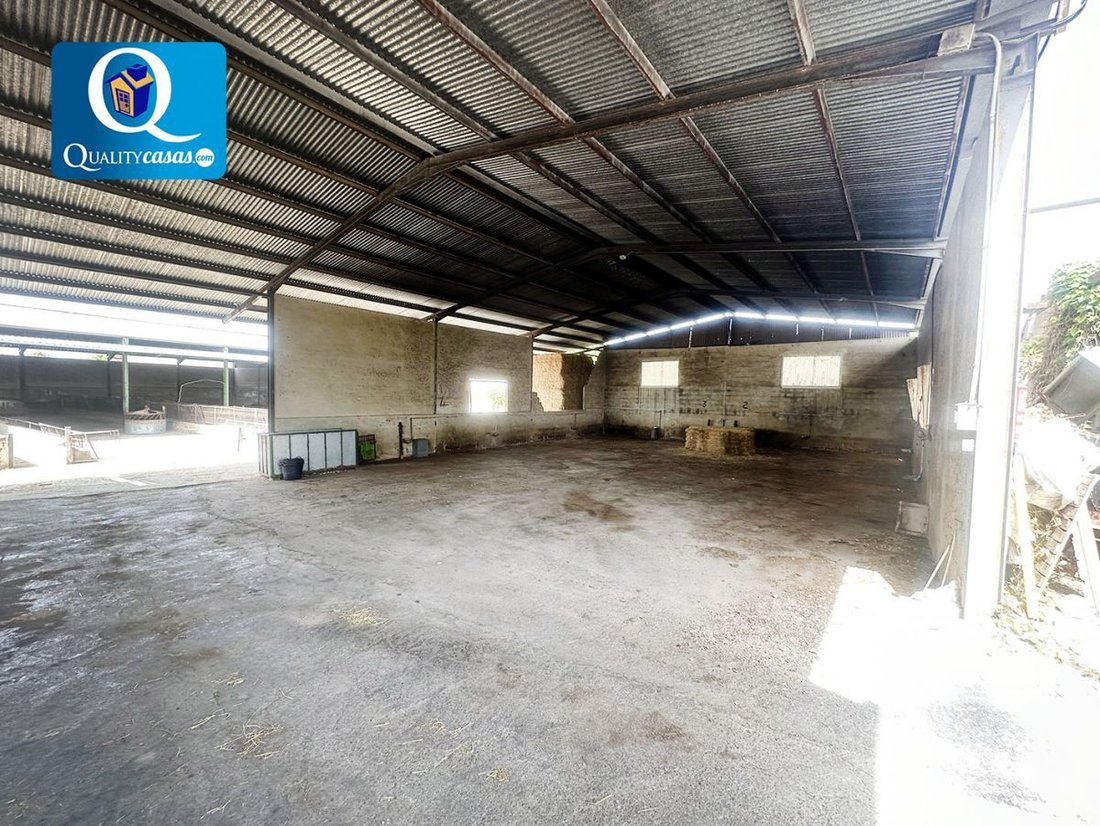 Chalet in Crevillent, Valencian Community, Spain 4 - 13109225