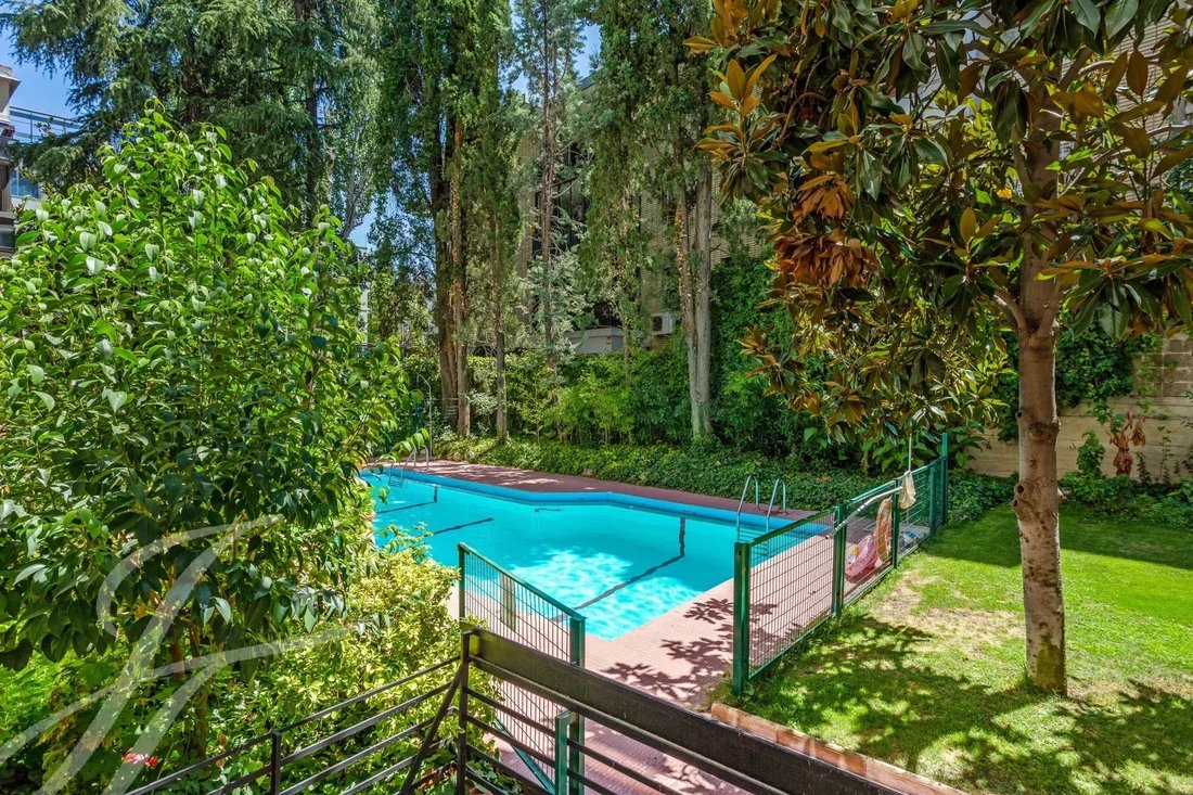 Luxury And Distinction Ground Floor With In Madrid, Community Of