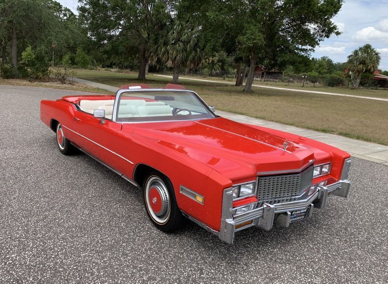 Pinellas, FL, United States 5 - 13113547