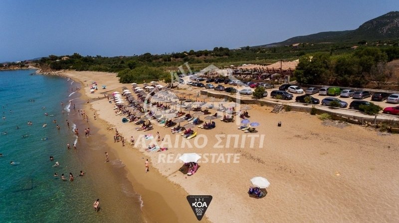 Land in Gargalianoi, Peloponnese, Western Greece and the Ionian, Greece 5 - 13112505