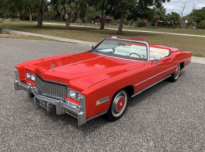 Pinellas, FL, United States 1 - 13113547