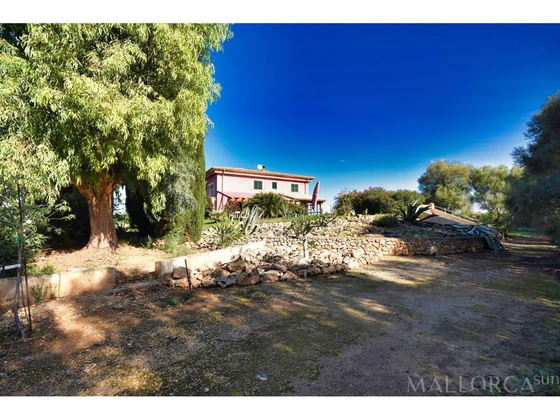 Finca à Santa Margalida, Îles Baléares, Espagne 3 - 13111113