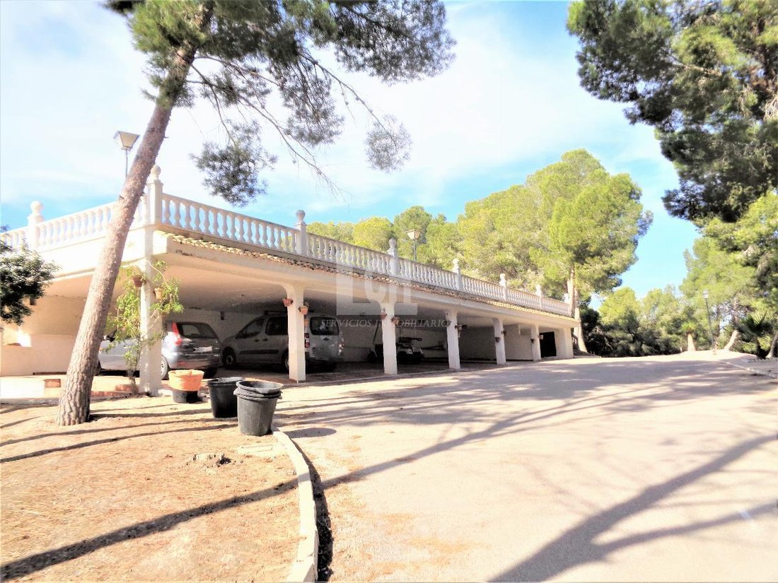 Finca in Torrevieja, Valencian Community, Spain 3 - 13111401