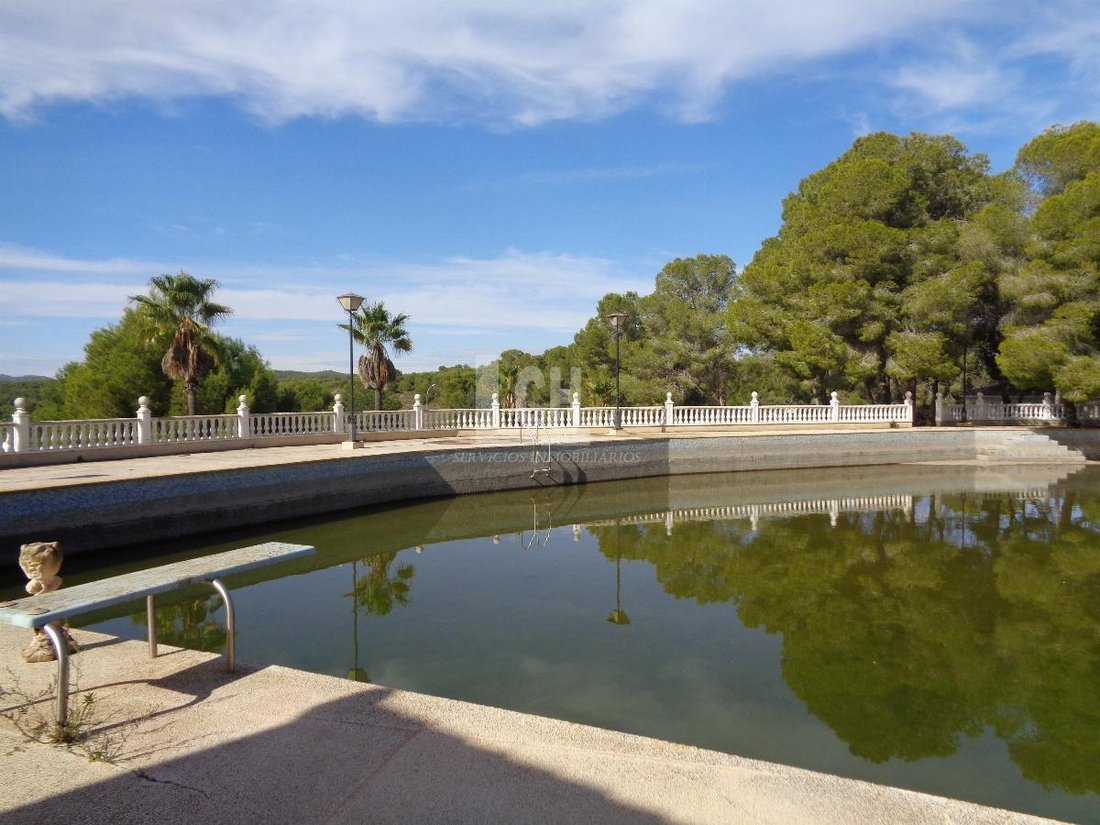 Finca in Torrevieja, Valencian Community, Spain 5 - 13111401