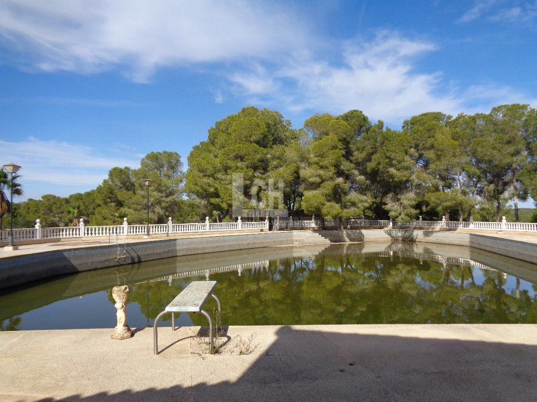 Finca in Torrevieja, Valencian Community, Spain 4 - 13111401