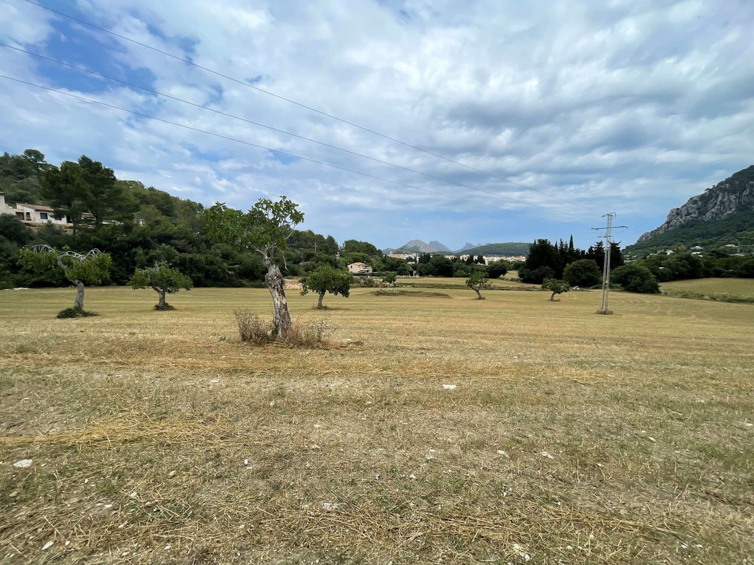Terreno a Pollença, Isole Baleari, Spagna 1 - 13116926