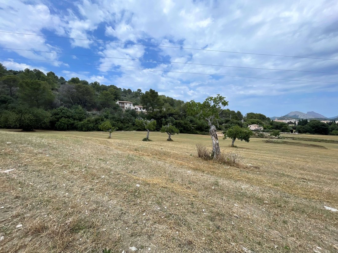 Terreno a Pollença, Isole Baleari, Spagna 2 - 13116926