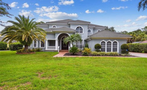 House in Tampa, Florida, United States 1