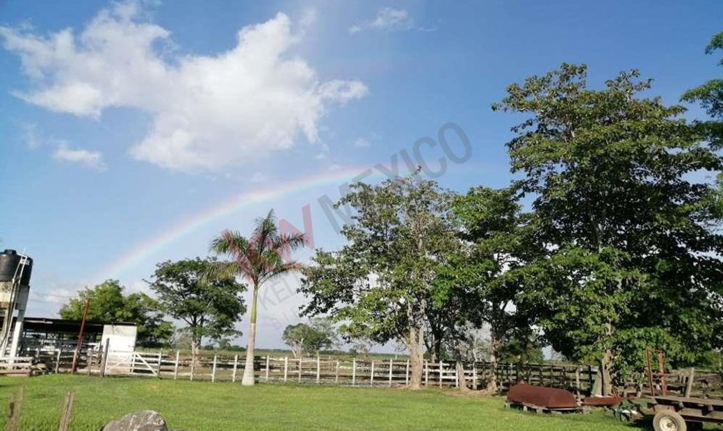 Lots And Land Palizada In Palizada, Campeche, Mexico For Sale (12103681)