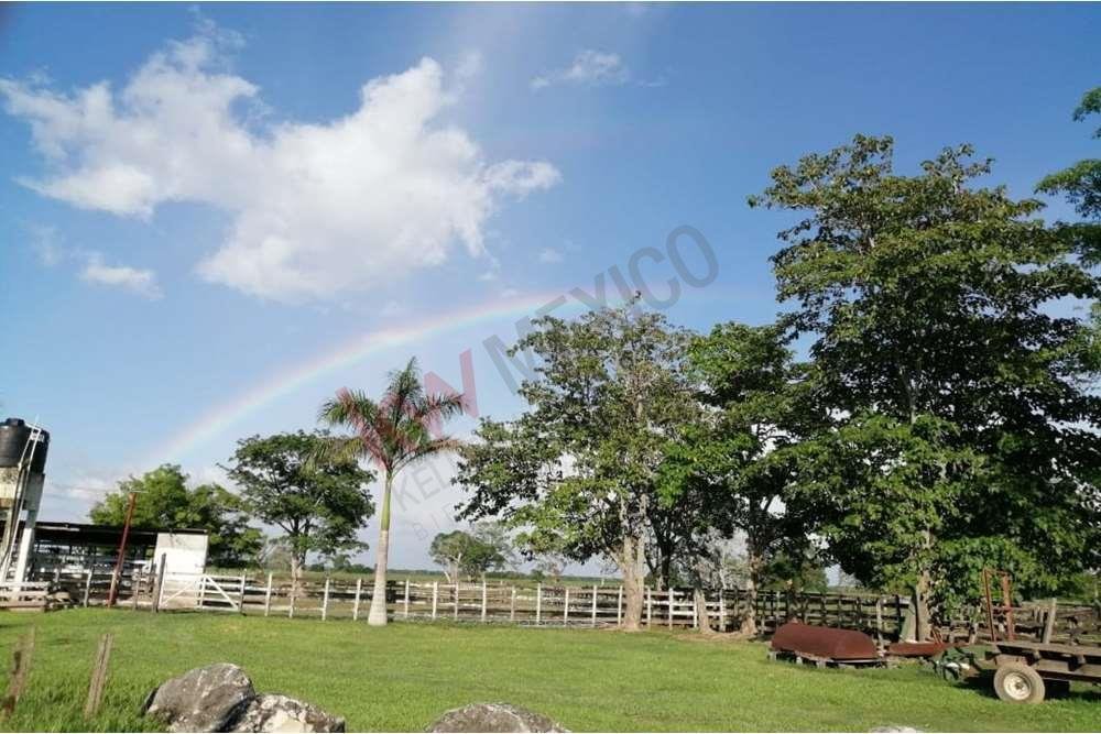 Lots And Land Palizada In Palizada, Campeche, Mexico For Sale (12103681)