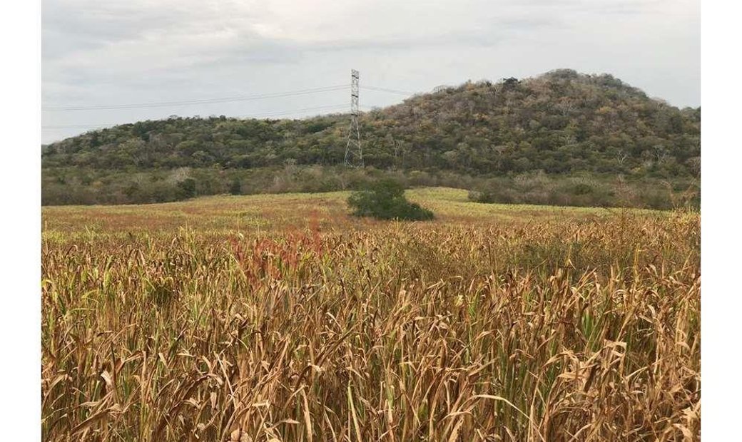 Lots And Land Mazatlán In Mazatlán, Sinaloa, Mexico For Sale (12140983)