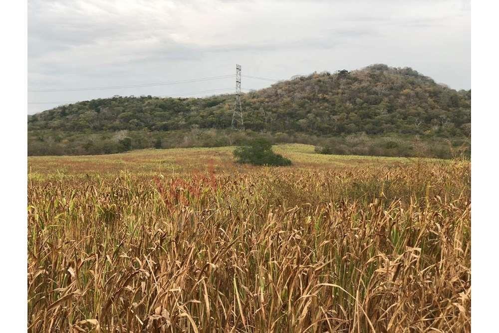 Lots And Land Mazatlán In Mazatlán, Sinaloa, Mexico For Sale (12140983)