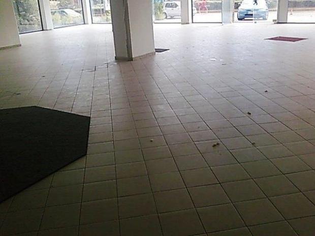 Paralias, Paralia, Greece 1 - 13121055