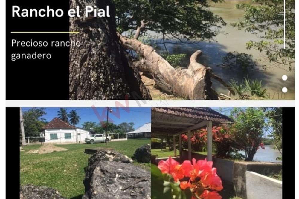 Lots And Land Palizada In Palizada, Campeche, Mexico For Sale (12103681)