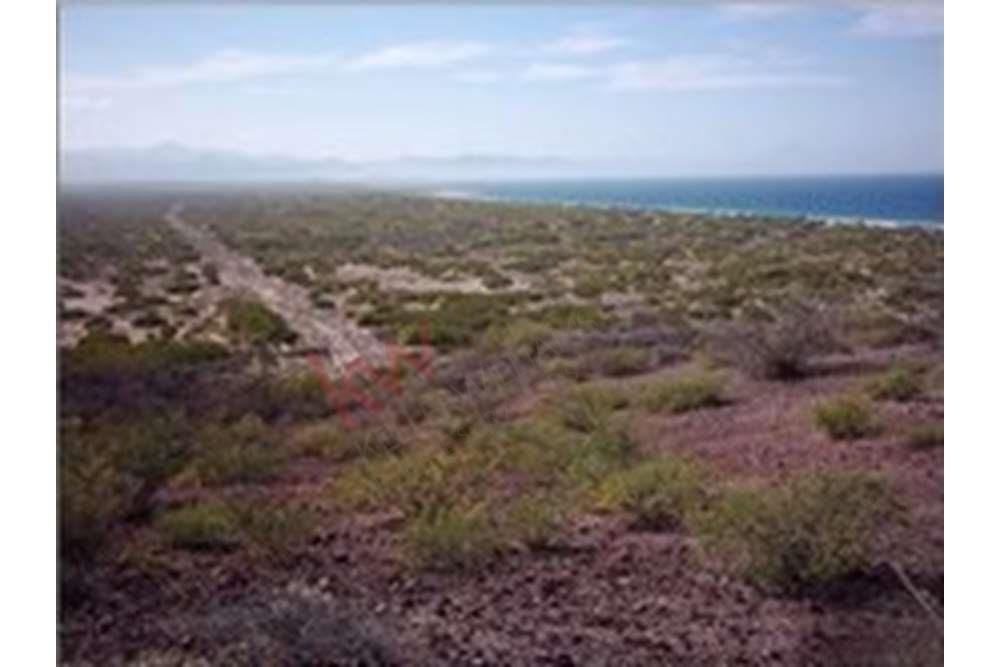 Lots And Land Mulege In San Bruno, Baja California Sur, Mexico For Sale