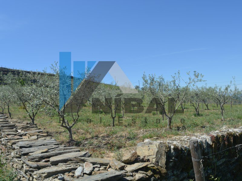 Farm In Pinhão With Views Of Douro River In Tabuaço, Viseu District