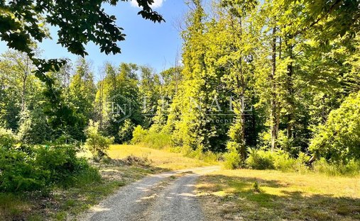 25 Min From Puy Du Fou 19th Century Chateau Fully Renovated Set In 5.69 Hectares Of Parkland