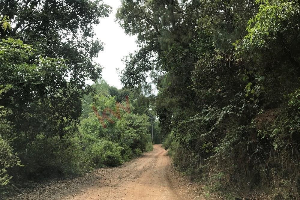 Lots And Land Mazamitla In Mazamitla, Jalisco, Mexico For Sale (12803949)