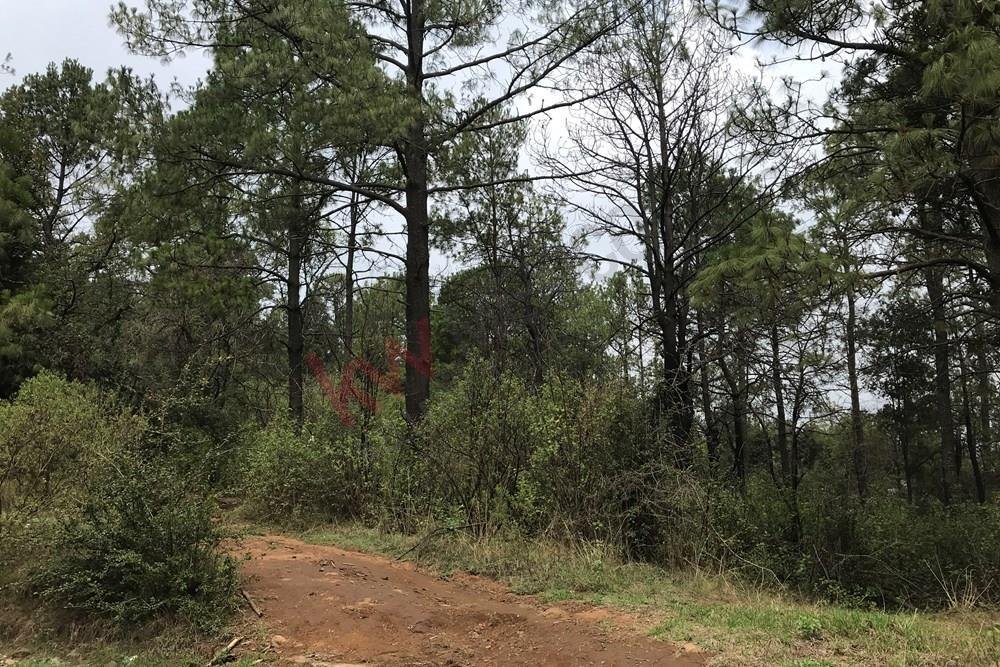 Lots And Land Mazamitla In Mazamitla, Jalisco, Mexico For Sale (12803949)