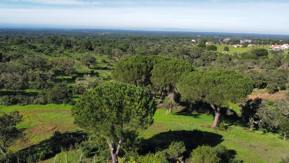 Country House In Melides In Melides, Setubal, Portugal For Sale (13130545)