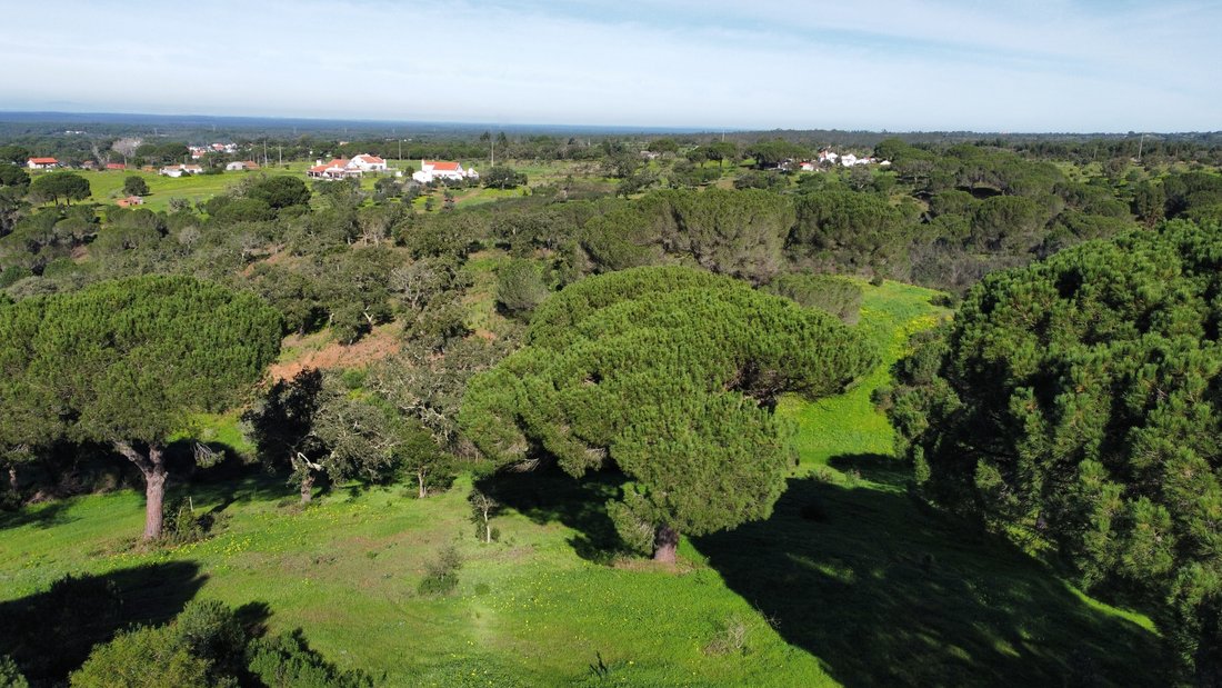 Country House In Melides In Melides, Setubal, Portugal For Sale (13130545)