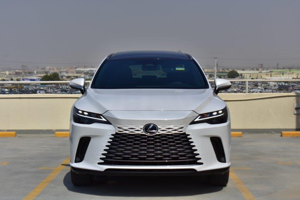 Suv in Dubai, Dubai, United Arab Emirates 1 - 13133659