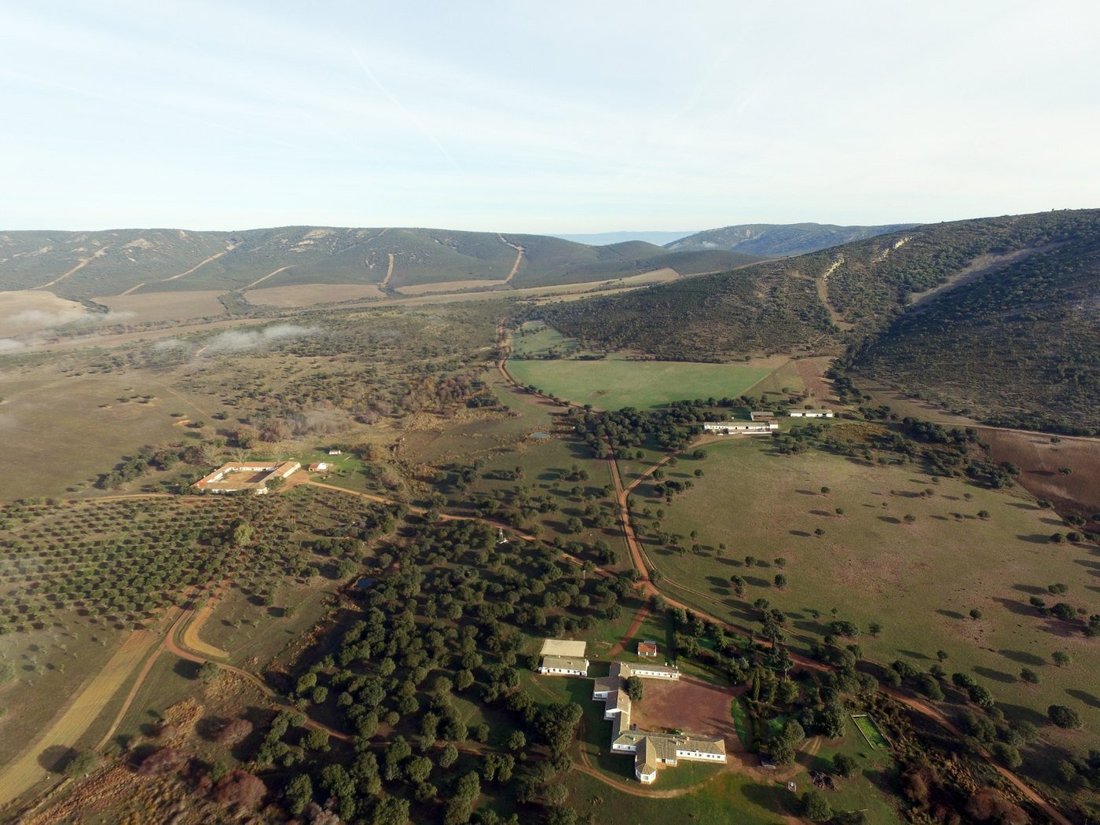 18,634 Acres Of Timeless Grandeur And In Piedrabuena, Castile La Mancha