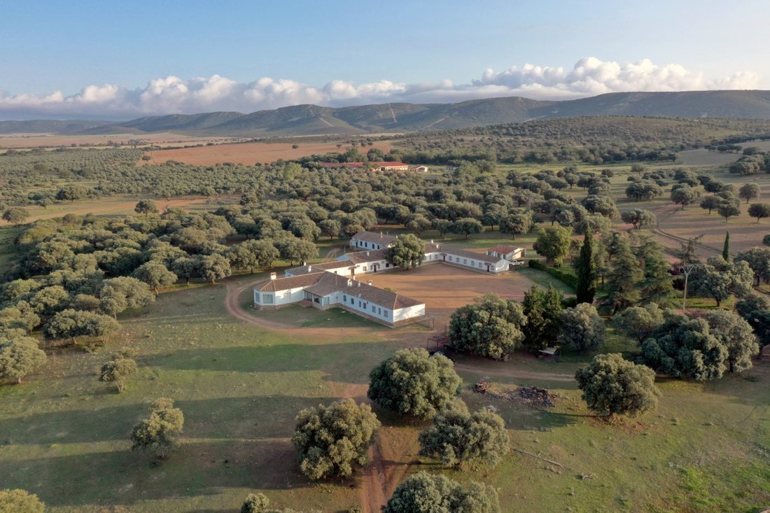 18,634 Acres Of Timeless Grandeur And In Piedrabuena, Castile La Mancha