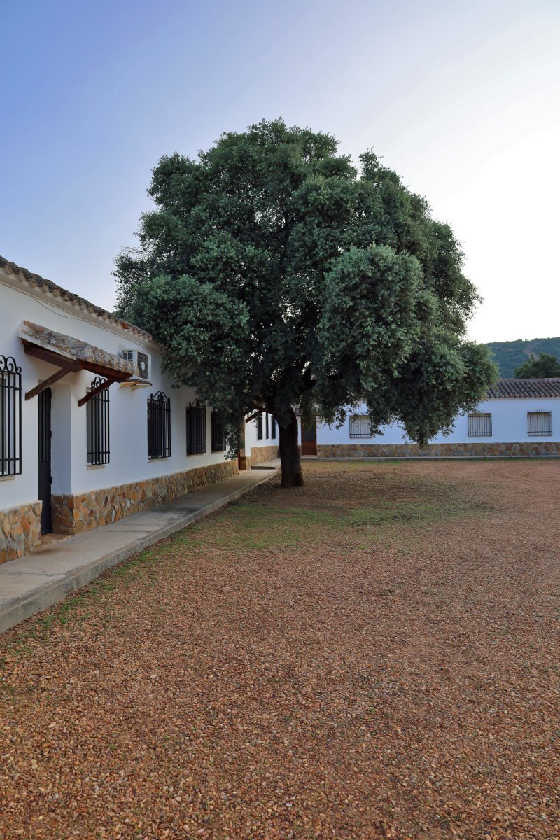 18,634 Acres Of Timeless Grandeur And In Piedrabuena, Castile La Mancha