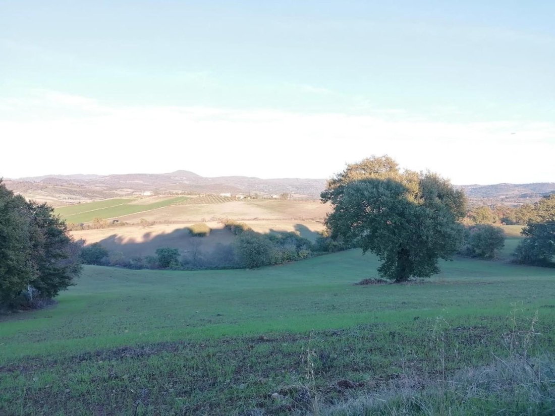 Country House in Manciano, Tuscany, Italy 2 - 13135279