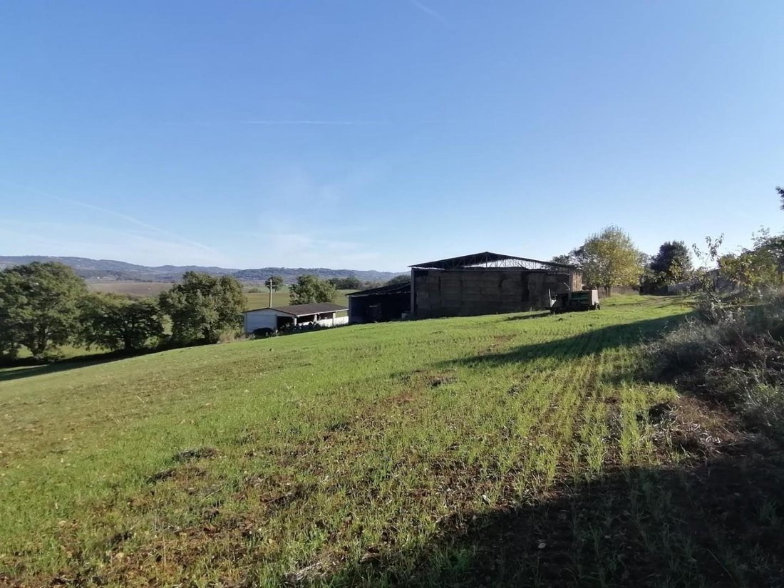 Country House in Manciano, Tuscany, Italy 1 - 13135279