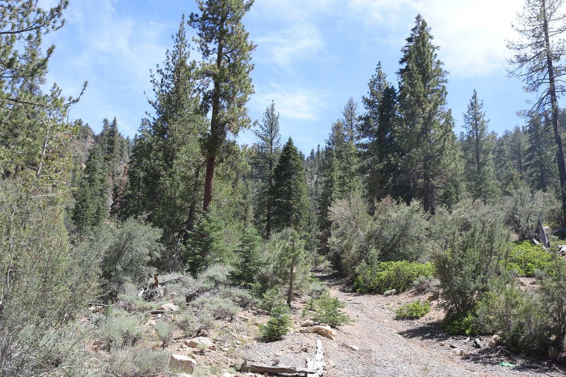 0 Highway 38, Onyx Summit, Ca 92305 In Angelus Oaks, California, United States For Sale (13136798)