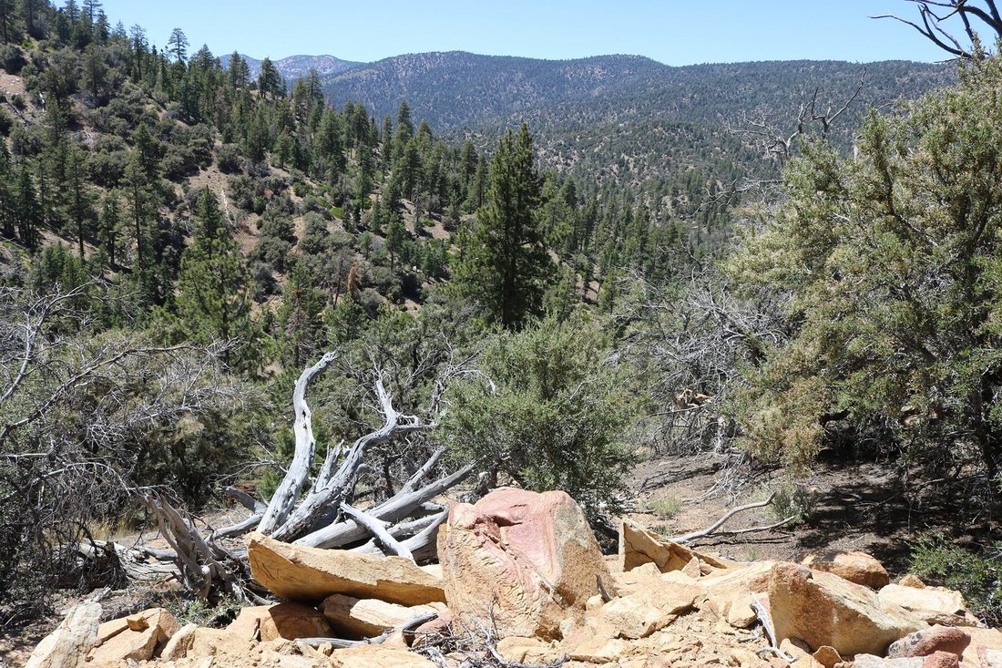 0 Highway 38, Onyx Summit, Ca 92305 In Angelus Oaks, California, United States For Sale (13136798)