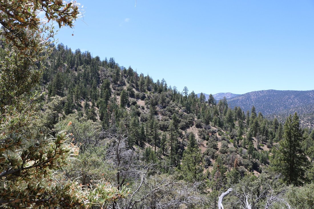 0 Highway 38, Onyx Summit, Ca 92305 In Angelus Oaks, California, United States For Sale (13136798)