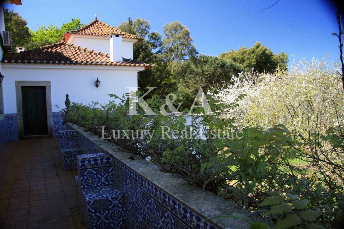 Farm Ranch in Galegos, Porto District, Portugal 5 - 13137812