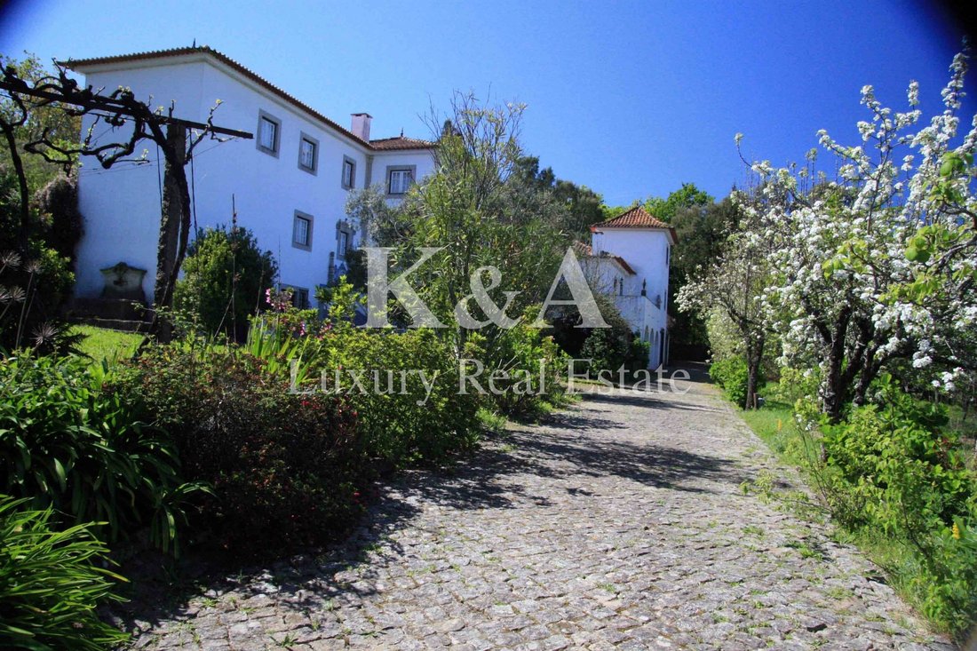 Farm Ranch in Galegos, Porto District, Portugal 2 - 13137812